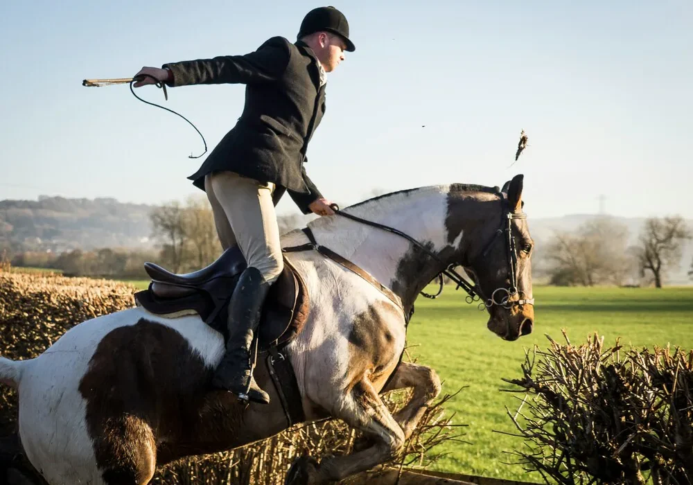 horesback riding