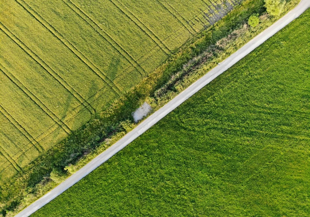 arial view of land